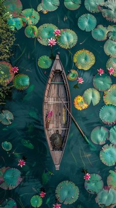 a boat floating on top of a body of water surrounded by lily pads and green leaves