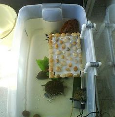 a bathtub filled with water and rocks in it