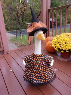 a duck wearing a witches hat sitting on a deck