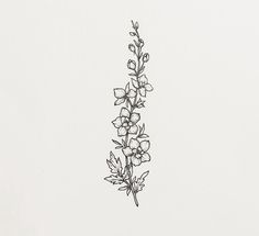 a black and white drawing of some flowers