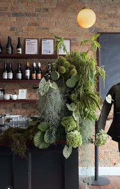 an assortment of plants and wine bottles on shelves in a room with exposed brick walls