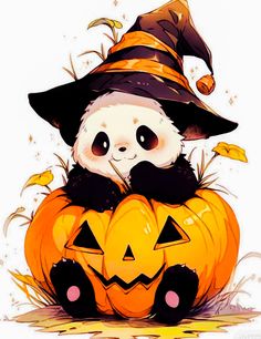 a panda bear sitting on top of a pumpkin