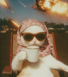 a white cat wearing sunglasses and a scarf holding a cup in front of its face