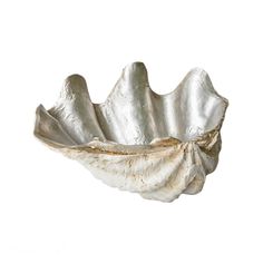 a silver shell shaped bowl on a white background