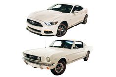 two white mustangs side by side on a white background and one in the foreground