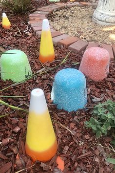 there are many different colored cones on the ground in front of some plants and flowers