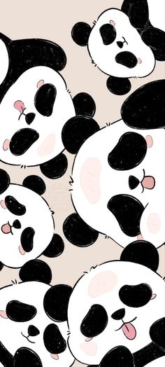 several pandas are laying down together and one is sticking its tongue out to the side