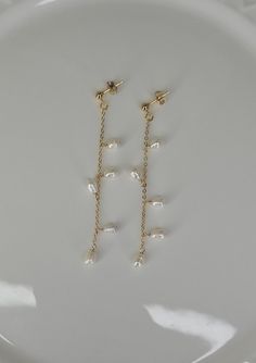 RICE SEED PEARL EARRINGS These dainty earrings combine a delicate chain and tiny pearls to create a stunning design! The little pearls cascade down the chain like confetti! These make a beautiful bridal accessory or gift for a loved one! * Earrings with 3 mm ball and 14-karat gold-filled details * 2 inches long * 2-3mm genuine seed beads Lead and Nickel Free hypoallergenic 14K gold fill contains a layer of 5% solid gold mechanically bonded to a base metal, which is 100 times thicker than gold plating. Therefore, gold filled jewelry is waterproof, hypoallergenic (won't irritate your sensitive skin), and durable to wear. If you take good care of them, they can last 20 to 30 years or more. Cheap Pearl Chain Dangle Earrings, Bridal Pearl Earrings, Jewelry 2022, Bridal Accessory, Pearl Earrings Wedding, Pearl Dangle Earrings, Jeweled Earrings, Bridal Earrings Pearl, Earrings Bridesmaid