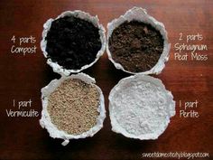 four bowls filled with different types of soil on top of a wooden table next to each other