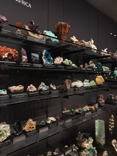 there are many rocks and crystals on the shelves