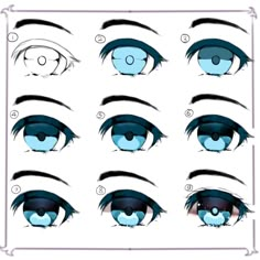 an image of blue eyes with different types of lashes and eyelashes in the shape of eyeballs