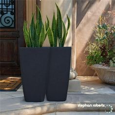 two large planters sitting next to each other in front of a door with plants