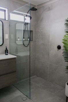 a bathroom with a shower, sink and mirror next to a potted palm tree