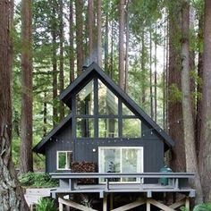 a small cabin in the woods surrounded by tall trees and greenery, with stairs leading up to it