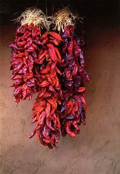 some red peppers hanging from a rope on a wall with other vegetables in the background