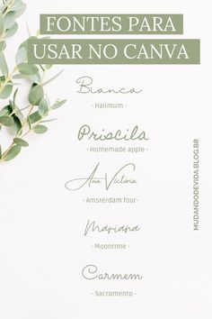 an image of a menu with olives on it and the words'fontes para usar no canva '