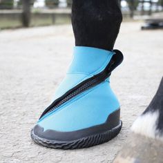 a horse's foot with a blue shoe cover on it and black boots in the background