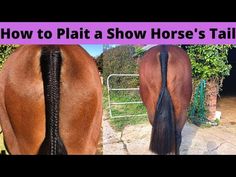 two horses with braids on their backs and the words how to plait a show horse's tail