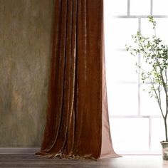 the curtains are closed in front of a window with a potted plant next to it