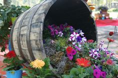 a barrel filled with lots of flowers sitting on top of a wooden table next to potted plants