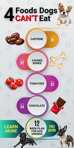 an info sheet with four different types of dogs and their food choices for each dog