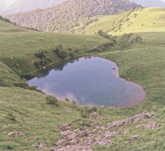 there is a small lake in the middle of this grassy area with mountains in the background