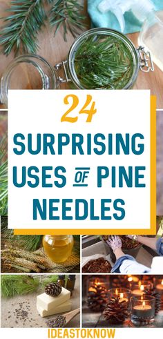 pine needles and candles with the words 24 surprising uses of pine needles