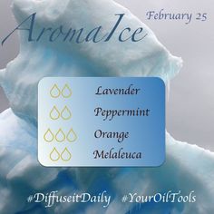 Aroma Ice Diffuser Blend Terra Essential Oils, Doterra Diffuser Blends, Aromatherapy Recipes, Essential Oil Blends Recipes, Diffuser Blend