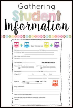 a student information sheet with owls on it and the words gathering student information in front