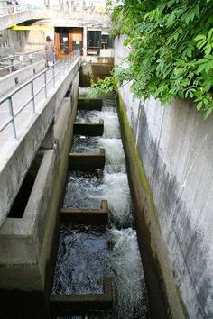 the water is running down the side of the building and into the drain system to collect it's contents