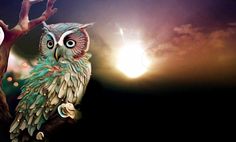 an owl sitting on a tree branch with the sun in the background and clouds behind it