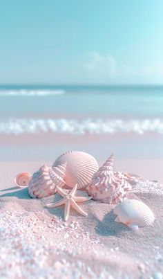 seashells and starfish on the beach with blue sky in the back ground