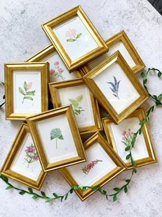 a bunch of framed pictures sitting on top of a white table next to green leaves