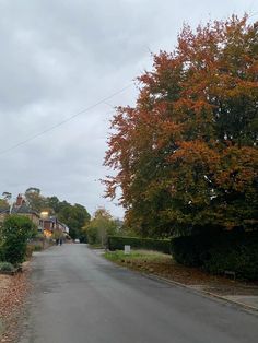 an empty street with houses and trees in the background on a gloomy fall day