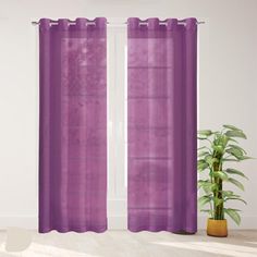 purple sheer curtains in front of a window with potted plant on the far side