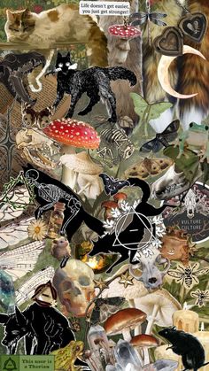 a collage of images with animals and other things in the background, including mushrooms