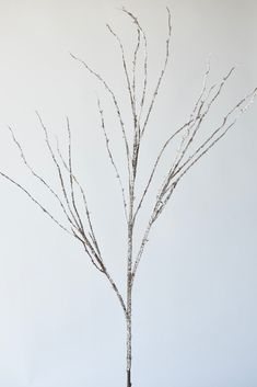 a small tree with no leaves in a vase on a table next to a wall