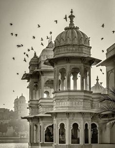 black and white photograph of an ornate building with birds flying around