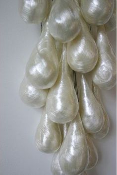 some white garlic hanging from a hook on a wall