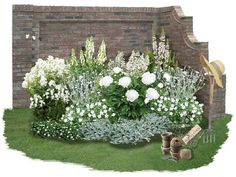 the garden is full of white flowers and greenery