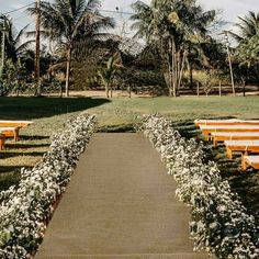 an outdoor ceremony setup with wooden benches and white flowers on the grass, surrounded by palm trees