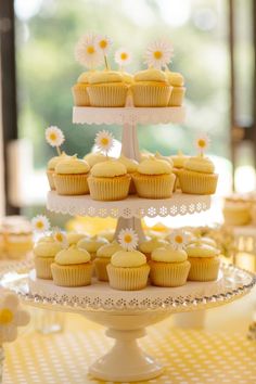 cupcakes and muffins are displayed on a cake stand