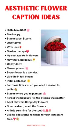 a poster with the words aesthetic flower caption ideas in red and white, on top of it