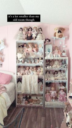 there is a pink room with many dolls on the shelves and toys in the corner