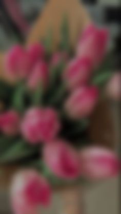 blurry photograph of pink tulips in a vase