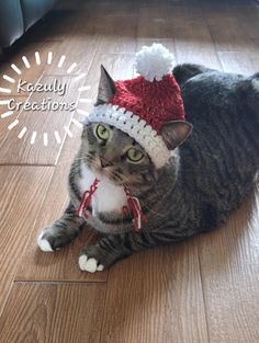 a cat wearing a knitted hat on the floor