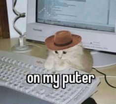 a white cat wearing a brown hat sitting in front of a computer with the caption on my puter