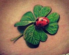 a ladybug sitting on top of a green leafy plant with leaves around it