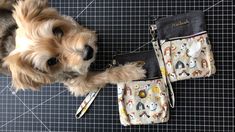 a small dog sitting next to two purses