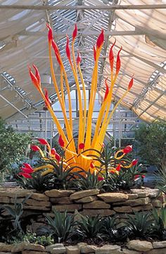 an arrangement of red and yellow flowers in a glass house